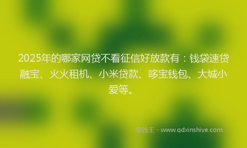 2025年的哪家网贷不看征信好放款有：钱袋速贷融宝、火火租机、小米贷款、哆宝钱包、大城小爱等。