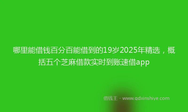 哪里能借钱百分百能借到的19岁2025年精选，概括五个芝麻借款实时到账速借app