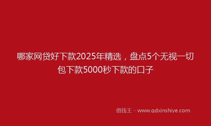 哪家网贷好下款2025年精选，盘点5个无视一切包下款5000秒下款的口子