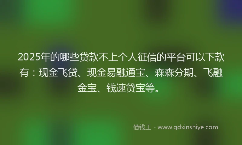2025年的哪些贷款不上个人征信的平台可以下款有：现金飞贷、现金易融通宝、森森分期、飞融金宝、钱速贷宝等。