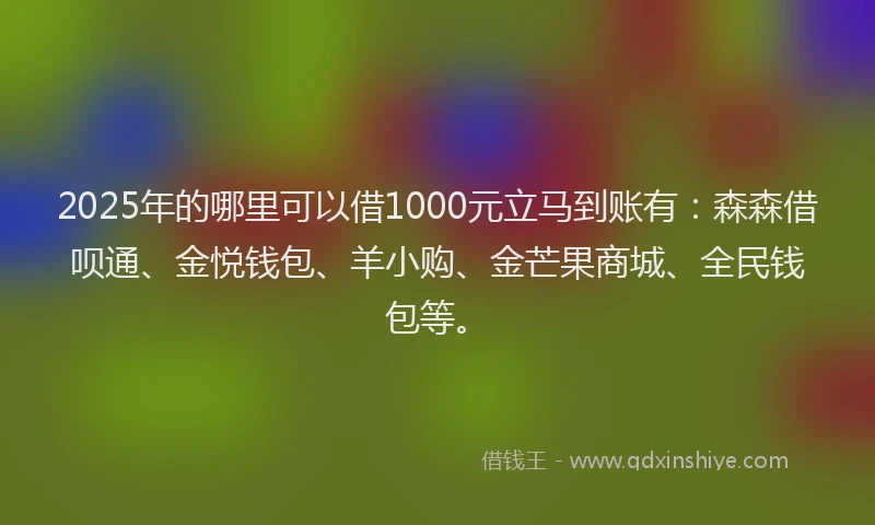 2025年的哪里可以借1000元立马到账有：森森借呗通、金悦钱包、羊小购、金芒果商城、全民钱包等。
