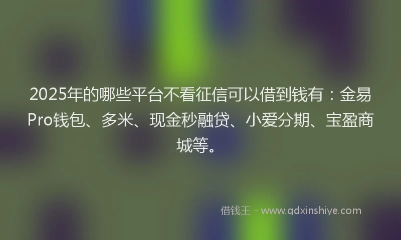 2025年的哪些平台不看征信可以借到钱有：金易Pro钱包、多米、现金秒融贷、小爱分期、宝盈商城等。