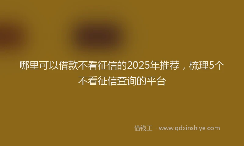 哪里可以借款不看征信的2025年推荐，梳理5个不看征信查询的平台