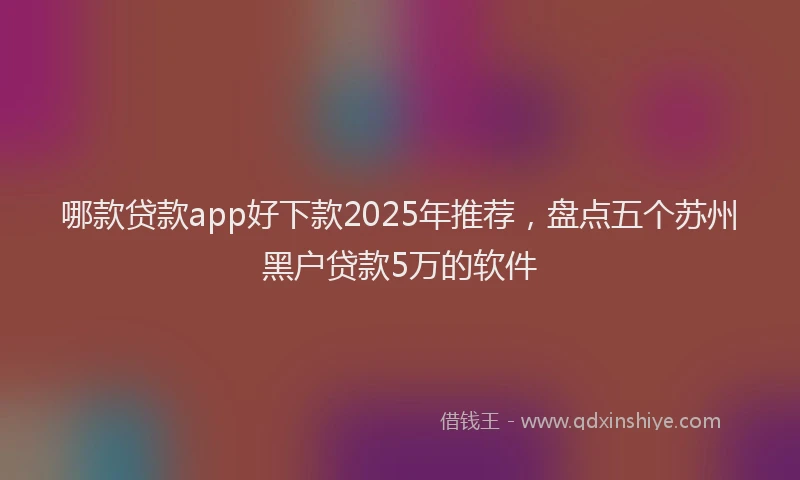哪款贷款app好下款2025年推荐，盘点五个苏州黑户贷款5万的软件