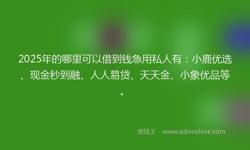 2025年的哪里可以借到钱急用私人有：小鹿优选、现金秒到融、人人易贷、天天金、小象优品等。