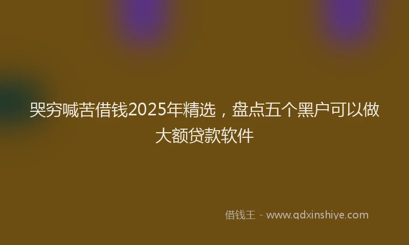 哭穷喊苦借钱2025年精选，盘点五个黑户可以做大额贷款软件