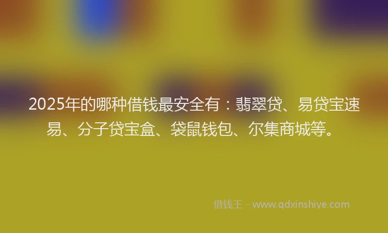 2025年的哪种借钱最安全有：翡翠贷、易贷宝速易、分子贷宝盒、袋鼠钱包、尔集商城等。