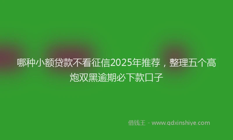 哪种小额贷款不看征信2025年推荐，整理五个高炮双黑逾期必下款口子