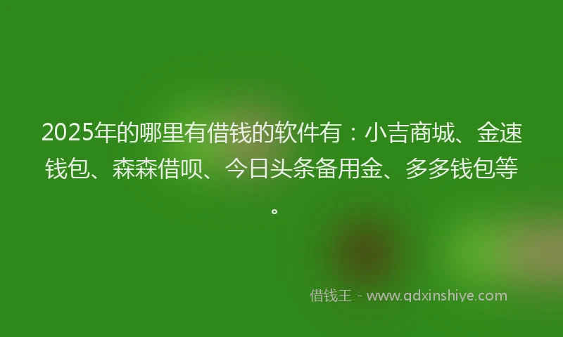 2025年的哪里有借钱的软件有：小吉商城、金速钱包、森森借呗、今日头条备用金、多多钱包等。