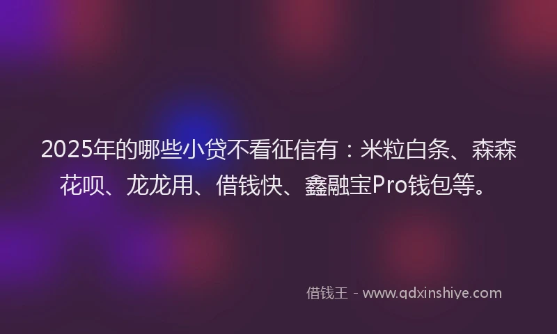 2025年的哪些小贷不看征信有：米粒白条、森森花呗、龙龙用、借钱快、鑫融宝Pro钱包等。