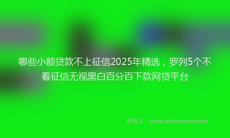 哪些小额贷款不上征信2025年精选，罗列5个不看征信无视黑白百分百下款网贷平台