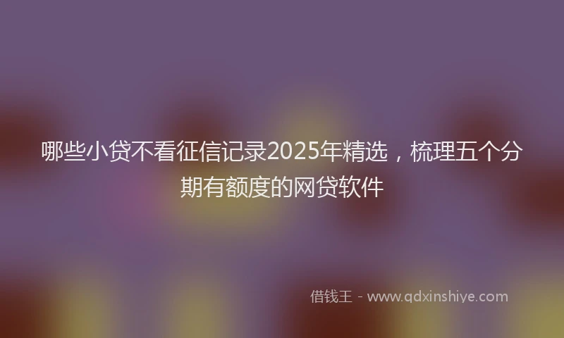 哪些小贷不看征信记录2025年精选，梳理五个分期有额度的网贷软件