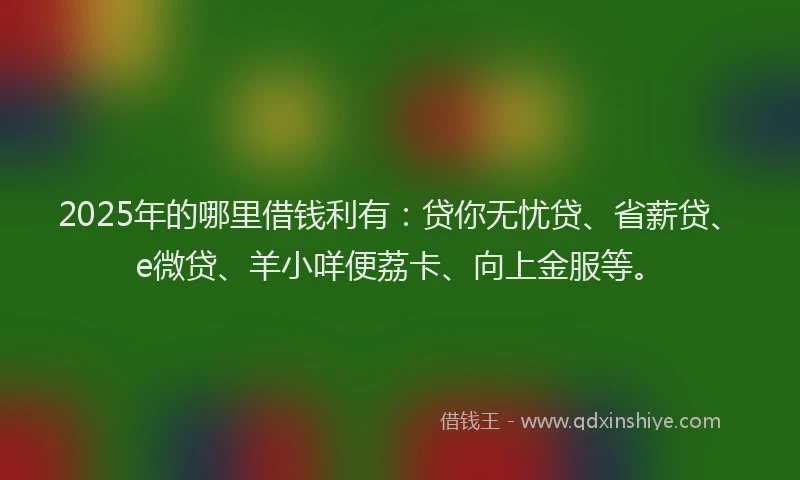 2025年的哪里借钱利有：贷你无忧贷、省薪贷、e微贷、羊小咩便荔卡、向上金服等。