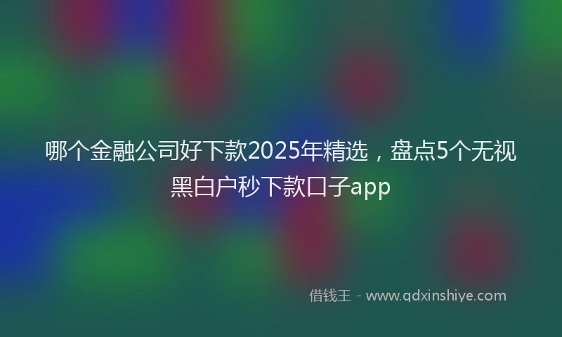 哪个金融公司好下款2025年精选，盘点5个无视黑白户秒下款口子app