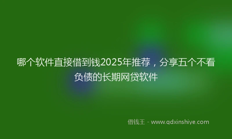 哪个软件直接借到钱2025年推荐，分享五个不看负债的长期网贷软件