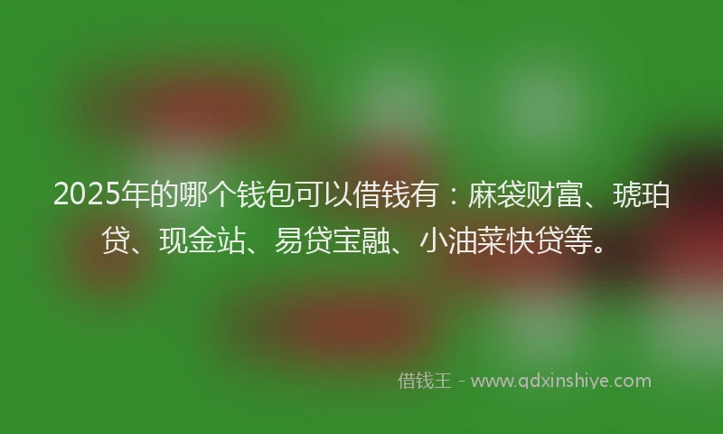 2025年的哪个钱包可以借钱有：麻袋财富、琥珀贷、现金站、易贷宝融、小油菜快贷等。