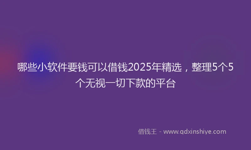哪些小软件要钱可以借钱2025年精选，整理5个5个无视一切下款的平台