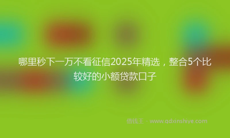 哪里秒下一万不看征信2025年精选，整合5个比较好的小额贷款口子