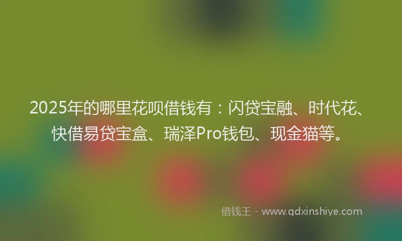 2025年的哪里花呗借钱有：闪贷宝融、时代花、快借易贷宝盒、瑞泽Pro钱包、现金猫等。
