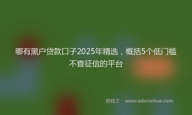 哪有黑户贷款口子2025年精选，概括5个低门槛不查征信的平台