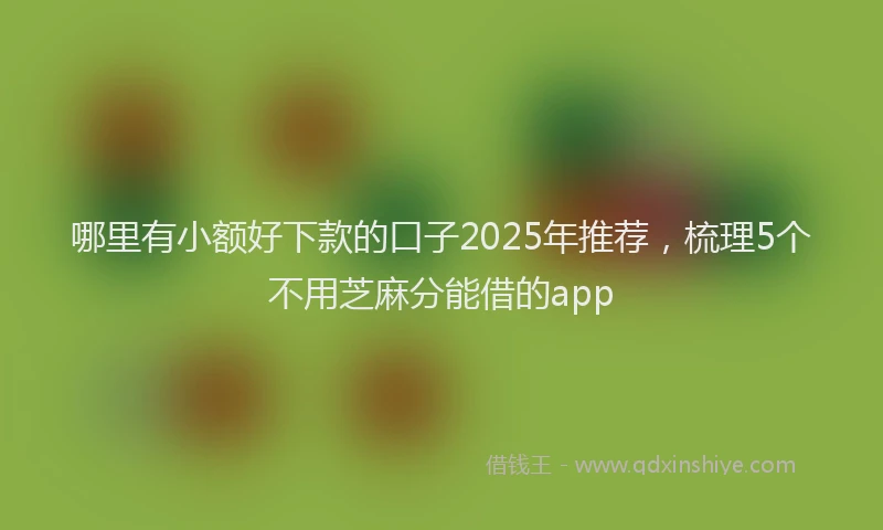 哪里有小额好下款的口子2025年推荐，梳理5个不用芝麻分能借的app