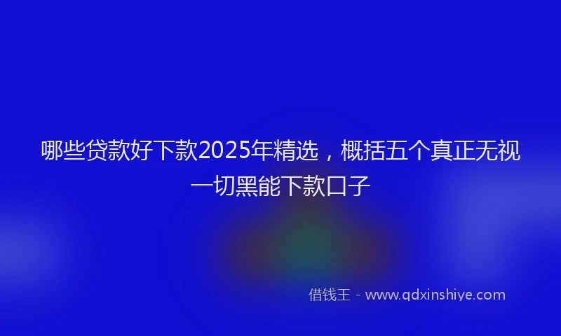 哪些贷款好下款2025年精选，概括五个真正无视一切黑能下款口子