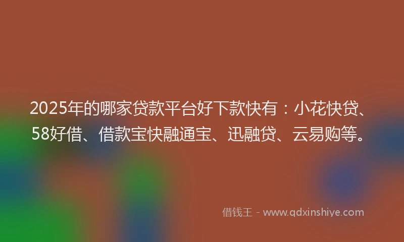 2025年的哪家贷款平台好下款快有：小花快贷、58好借、借款宝快融通宝、迅融贷、云易购等。
