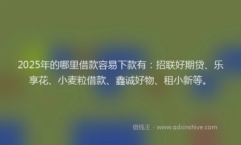 2025年的哪里借款容易下款有：招联好期贷、乐享花、小麦粒借款、鑫诚好物、租小新等。