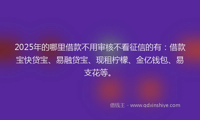 2025年的哪里借款不用审核不看征信的有:借款宝快贷宝、易融贷宝、现租柠檬、金亿钱包、易支花等。