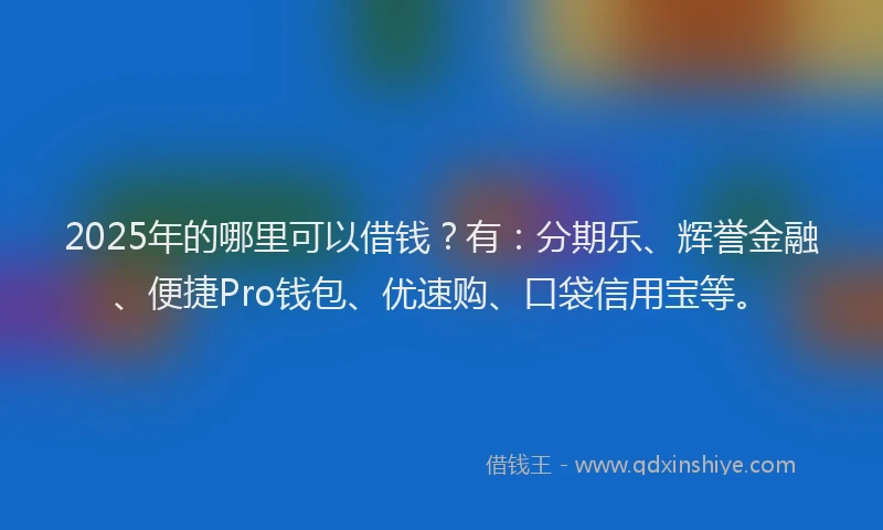 2025年的哪里可以借钱？有：分期乐、辉誉金融、便捷Pro钱包、优速购、口袋信用宝等。