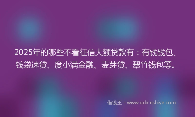 2025年的哪些不看征信大额贷款有：有钱钱包、钱袋速贷、度小满金融、麦芽贷、翠竹钱包等。