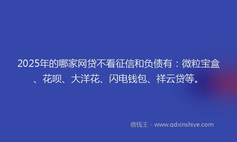2025年的哪家网贷不看征信和负债有：微粒宝盒、花呗、大洋花、闪电钱包、祥云贷等。