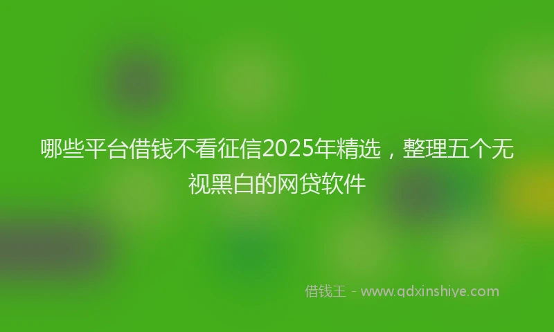 哪些平台借钱不看征信2025年精选，整理五个无视黑白的网贷软件