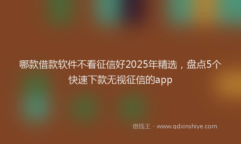 哪款借款软件不看征信好2025年精选，盘点5个快速下款无视征信的app