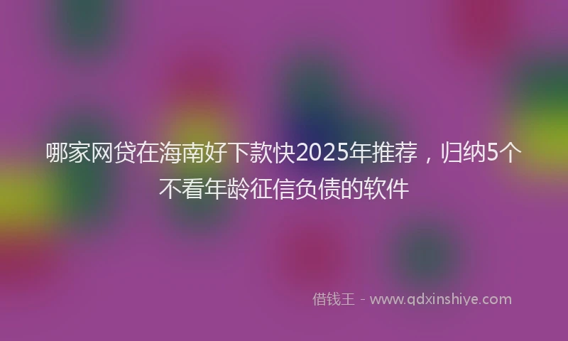 哪家网贷在海南好下款快2025年推荐，归纳5个不看年龄征信负债的软件