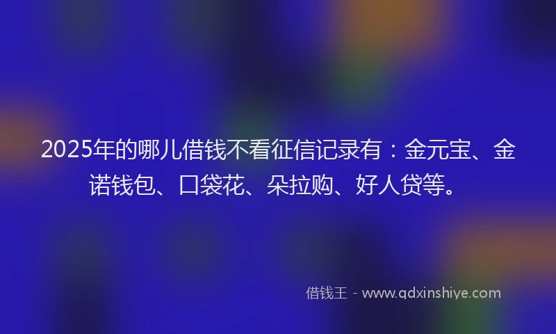 2025年的哪儿借钱不看征信记录有：金元宝、金诺钱包、口袋花、朵拉购、好人贷等。