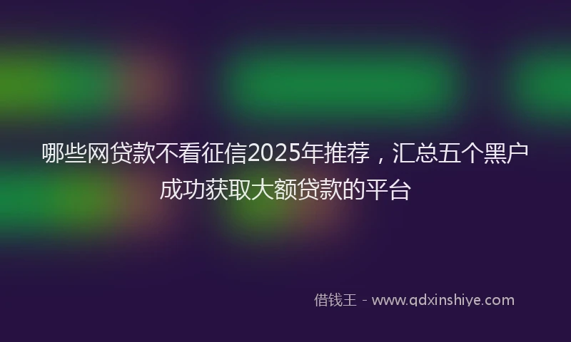 哪些网贷款不看征信2025年推荐，汇总五个黑户成功获取大额贷款的平台