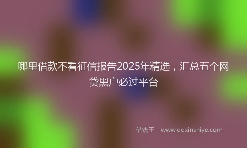 哪里借款不看征信报告2025年精选，汇总五个网贷黑户必过平台