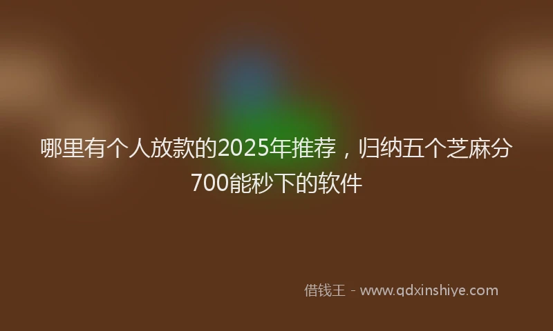 哪里有个人放款的2025年推荐，归纳五个芝麻分700能秒下的软件