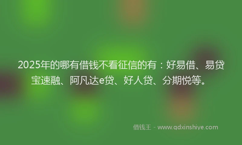 2025年的哪有借钱不看征信的有：好易借、易贷宝速融、阿凡达e贷、好人贷、分期悦等。