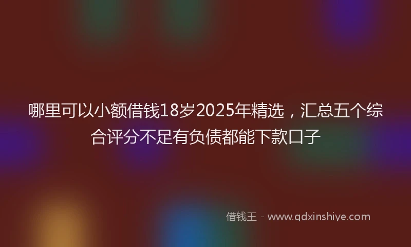 哪里可以小额借钱18岁2025年精选，汇总五个综合评分不足有负债都能下款口子