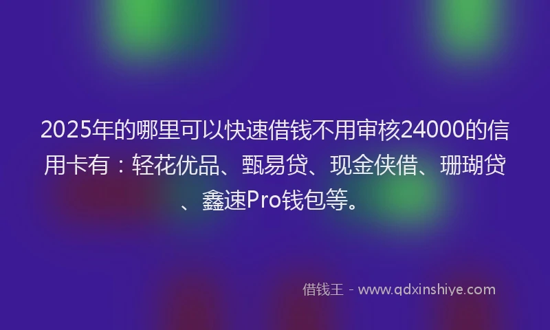 2025年的哪里可以快速借钱不用审核24000的信用卡有：轻花优品、甄易贷、现金侠借、珊瑚贷、鑫速Pro钱包等。