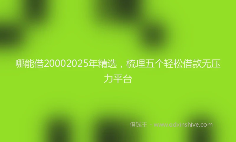 哪能借20002025年精选，梳理五个轻松借款无压力平台