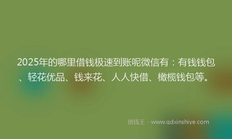 2025年的哪里借钱极速到账呢微信有：有钱钱包、轻花优品、钱来花、人人快借、橄榄钱包等。