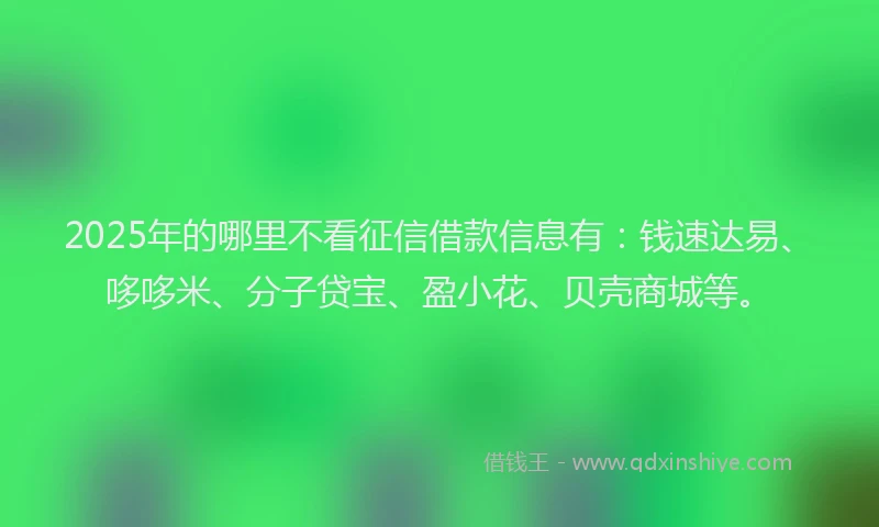 2025年的哪里不看征信借款信息有：钱速达易、哆哆米、分子贷宝、盈小花、贝壳商城等。