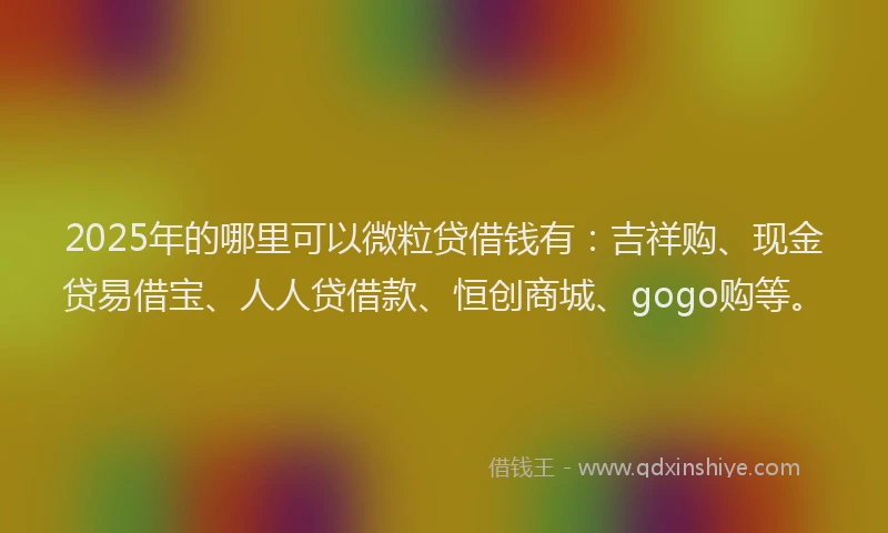 2025年的哪里可以微粒贷借钱有：吉祥购、现金贷易借宝、人人贷借款、恒创商城、gogo购等。