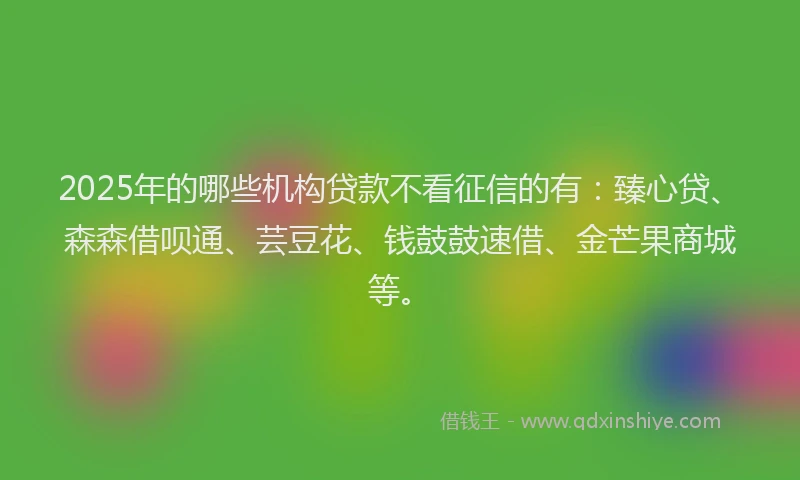 2025年的哪些机构贷款不看征信的有：臻心贷、森森借呗通、芸豆花、钱鼓鼓速借、金芒果商城等。