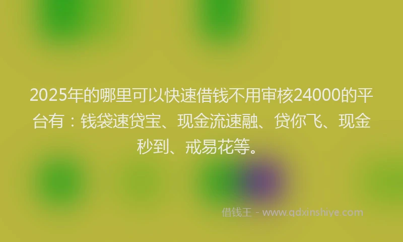 2025年的哪里可以快速借钱不用审核24000的平台有：钱袋速贷宝、现金流速融、贷你飞、现金秒到、戒易花等。
