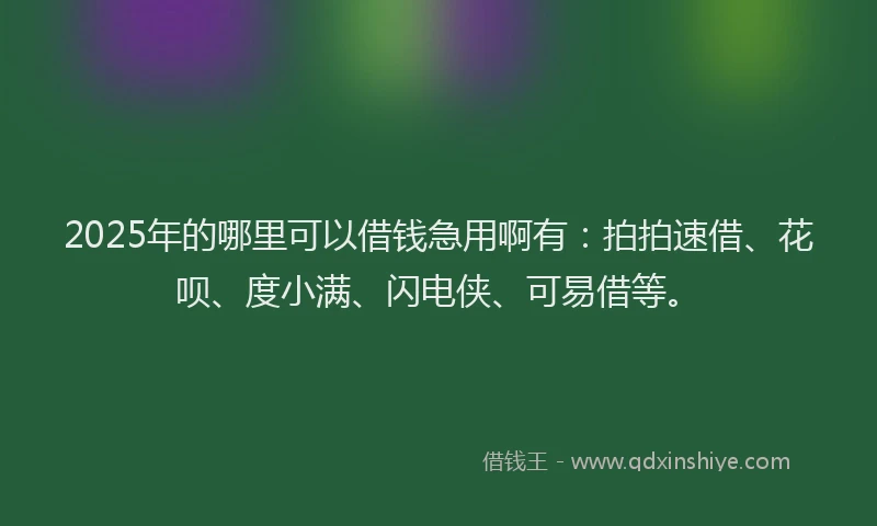 2025年的哪里可以借钱急用啊有：拍拍速借、花呗、度小满、闪电侠、可易借等。