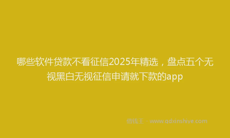 哪些软件贷款不看征信2025年精选，盘点五个无视黑白无视征信申请就下款的app